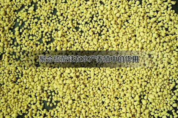 聚合硫酸鐵在水產養(yǎng)殖中的作用