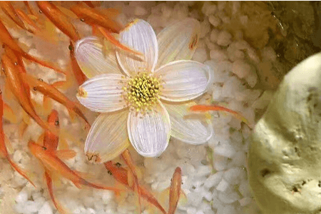 樹脂畫，滲透劑